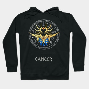 saint zodiac 10 Hoodie